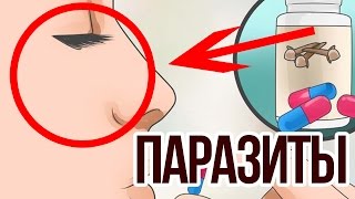 Таблетки от глистов. Какие выбрать? Таблетки от глистов. Какие выбрать?