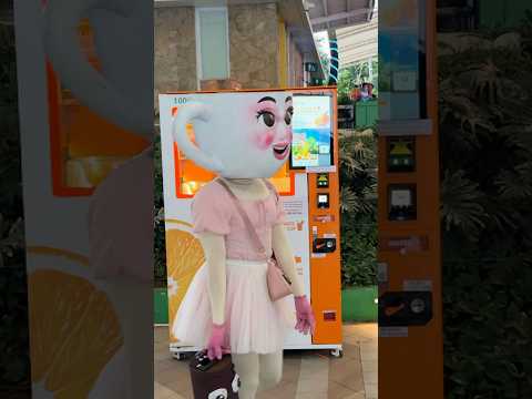 Tagaytay Ridge Amusement Park | Sky Ranch 2026