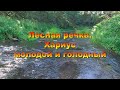 Лесная речка. Хариус молодой и голодный