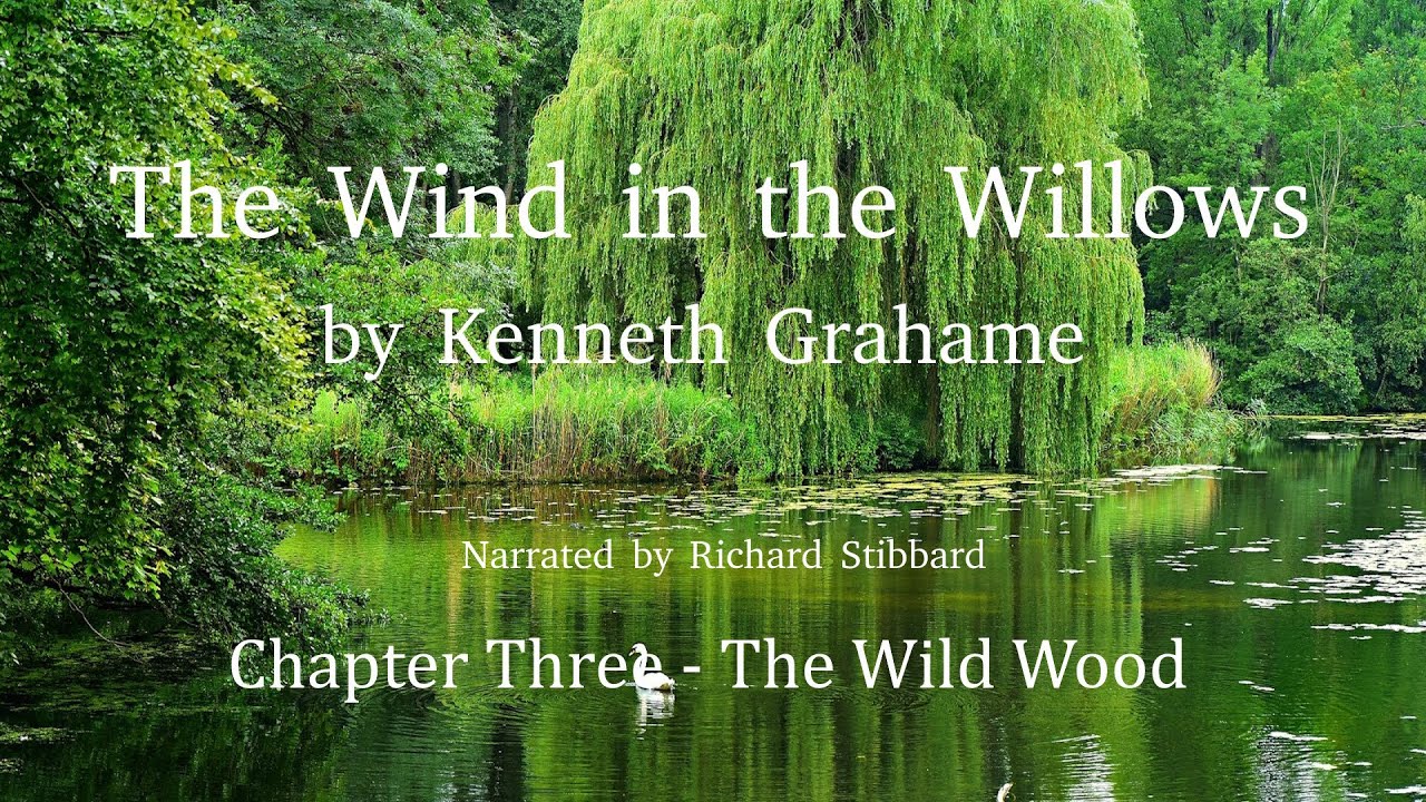 The Wind in the Willows - Chapter 3 - The Wild Wood - YouTube