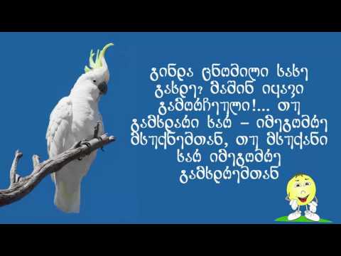 კაკადუს რჩევები