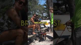 Talking Dog Prank! screenshot 1