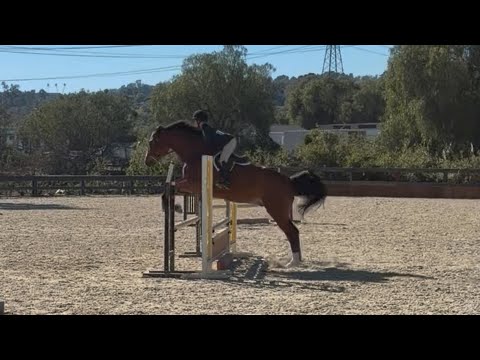 Winning round 2’9” equitation Lexie sandru, catch ride - YouTube