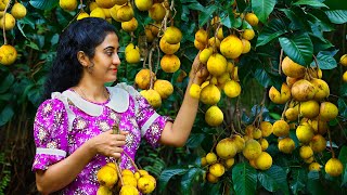 Santol Fruit Pickle 🍑 Welithalapa Egg Hoppers and Fiery Sauce from My Sri Lankan Village Kitchen