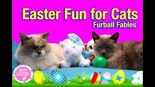 A Cats Guide To Easter - Furball Fables