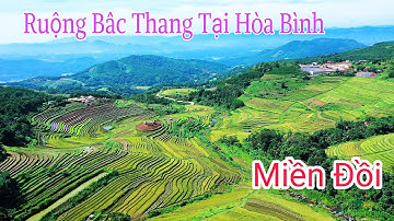 Xã Miền Đồi - Lạc Sơn - Hòa Bình - Dần Phát Triển Du Lịch Ruộng Bậc Thang  giống Kiểu Mù Căng Chải