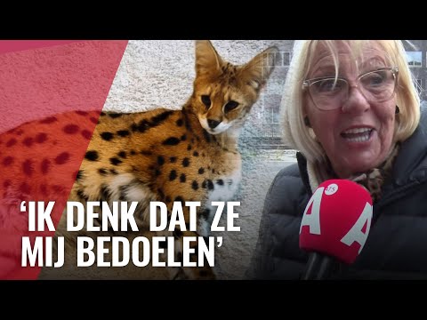 Video: Is het verkeerd om exotische dieren als huisdieren te houden?