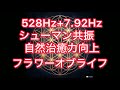 【528Hz+7.92Hzシューマン共振】頭痛・肩こり・腰痛・神経痛緩和、自然治癒力UP フラワーオブライフ 自然治癒力増加