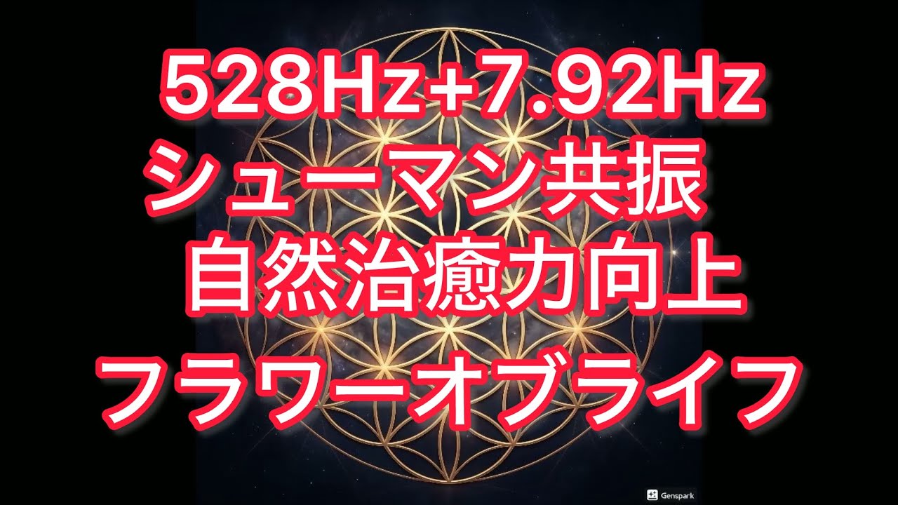 【528Hz+7.92Hzシューマン共振】頭痛・肩こり・腰痛・神経痛緩和、自然治癒力UP フラワーオブライフ 自然治癒力増加
