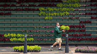 Plant-covered art installation returns to the Amway Grand Plaza Hotel
