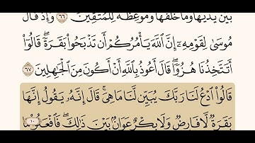 سورة البقرة من الآية ( ٦٦- ٦٩)  /                 القارئ/ ياسر الدوسري .