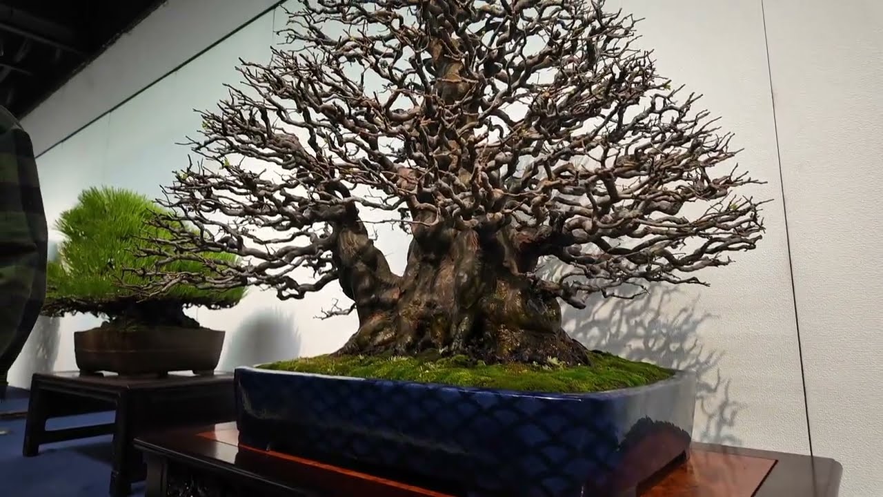 100th Kokufu-ten Prize Winners Part 1