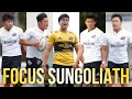 Focus SUNGOLIATH / Rookies features