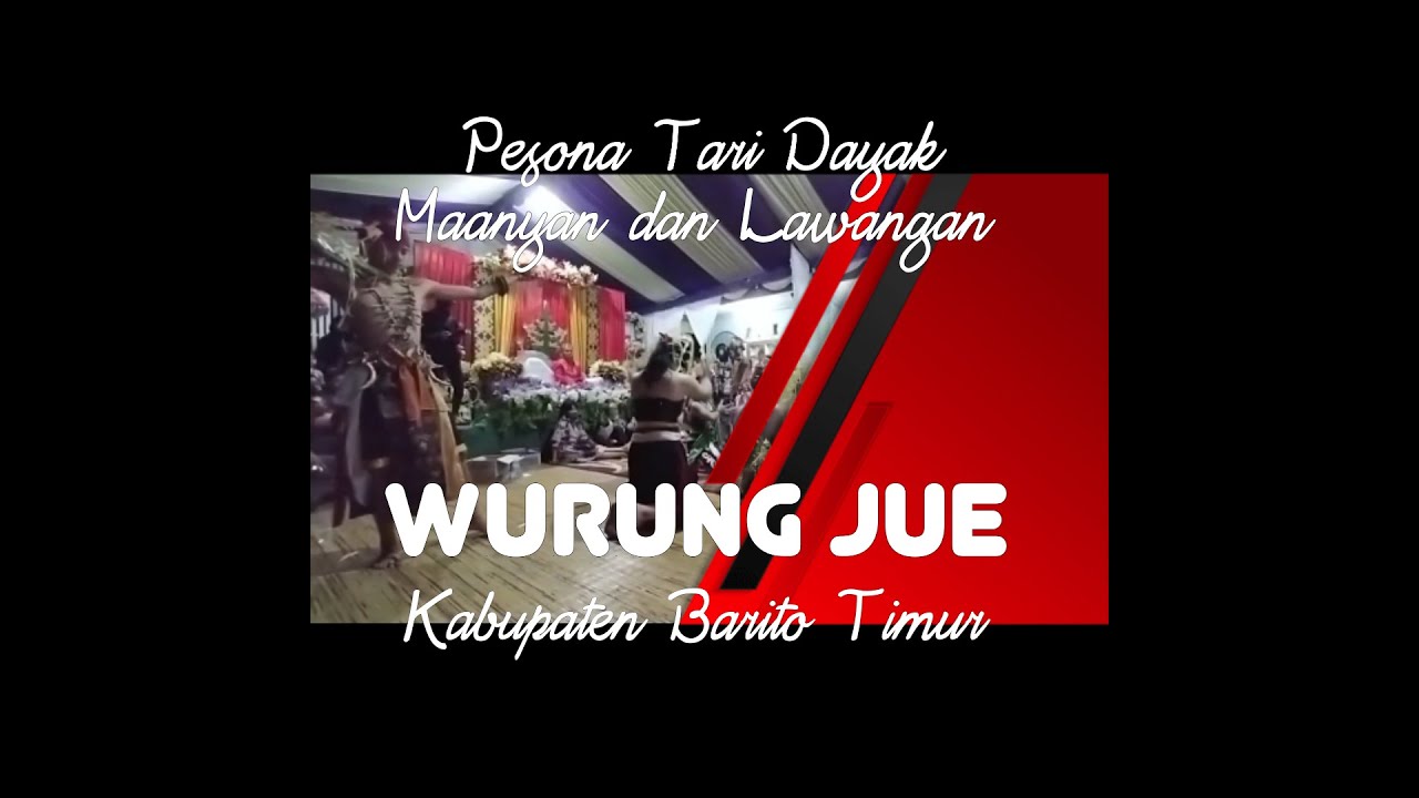 the charm of the traditional Dayak Maanyan and Lawangan 