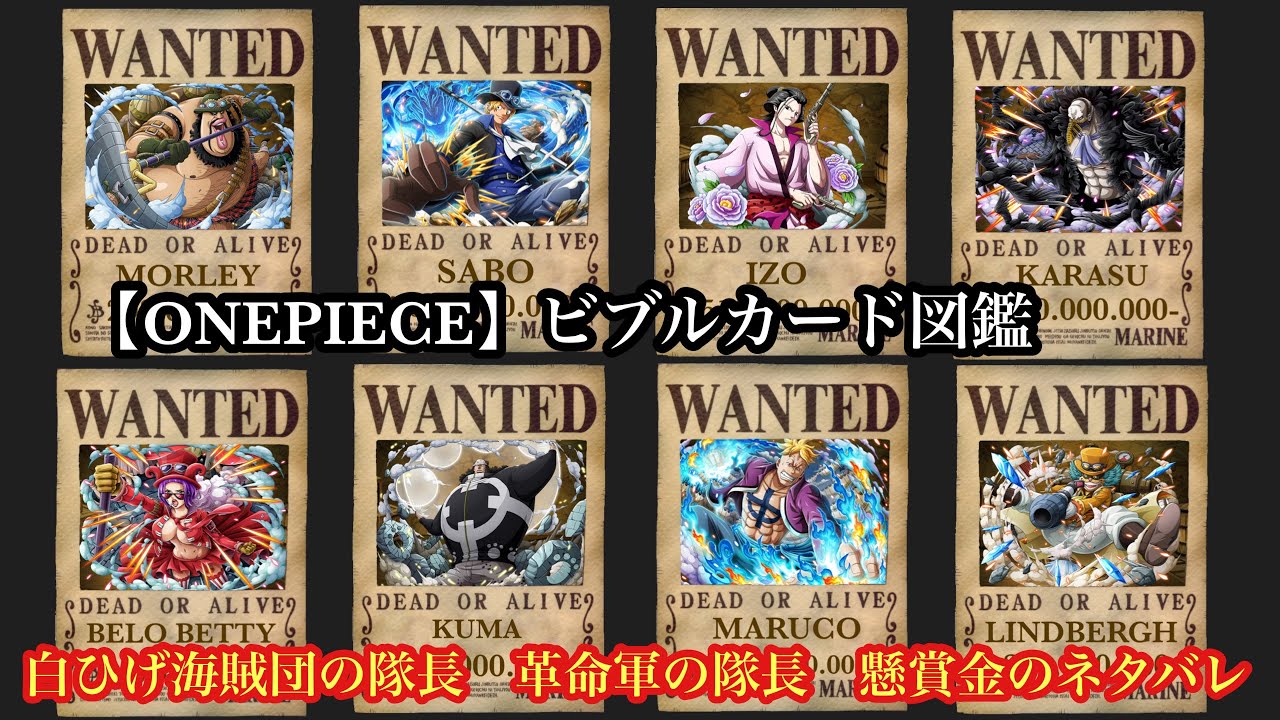 ONEPIECE】ビブルカード図鑑 白ひげ海賊団の隊長 革命軍の隊長 懸賞金