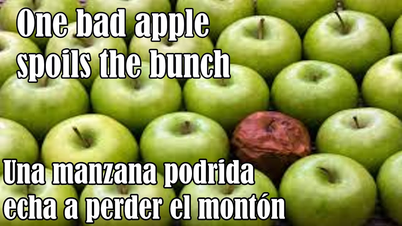 Para qué es buena la manzana