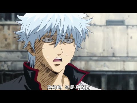 银魂 •完结篇 •速看 •万事屋