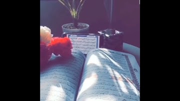 اوائل سورة الكهف | للشيخ مشارى راشد العفاسى | حالات واتس اب
