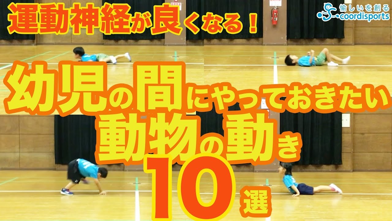 トレーニングジュニア期からの「身体能力開発トレーニング」 ジュニア期からの「身体能力開発トレーニング」 ～選手の才能を