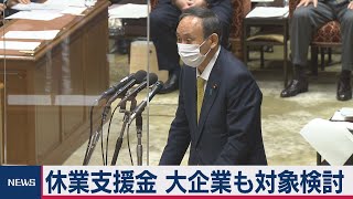 休業支援金 大企業も対象検討　衆院予算委（2021年2月4日）