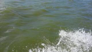 craigslist 200 find 1975 Johnson 15hp on 14ft vbottom test drive