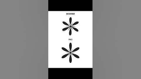 Tips - How To Use Distort and Transform Tool In Adobe Illustrator 2025 #logo_academy