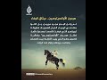 ميثاق الوفاء بين الخيل العربي وصاحبه
