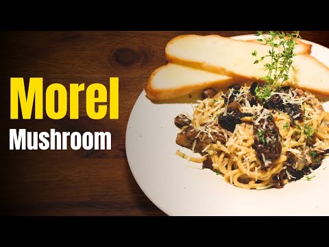 How to Cook | Quick and Easy Morel Mushroom Recipe | मोरेल मशरूम | Cook Book