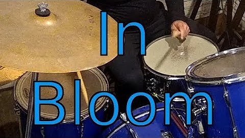 N015 In Bloom – Nirvana – Bateria (Cover - Como tocar - How to play – Drums)
