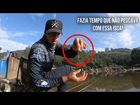 ESSA ISCA É ANTIGA, MAS AINDA PEGA MUITA TILÁPIA!