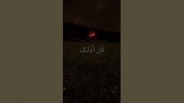 #اكتب_شي_تؤجر_عليه#قرآن#راحه_نفسيه#قران_كريم#مصر#الجزائر#العراق#تلاوات_خاشعة#اكسبلور#مشاهير#اليمن