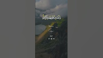 (أَلَا بِذِكْرِ اللَّهِ تَطْمَئِنُّ الْقُلُوبُ) القارئ هيثم الدخين