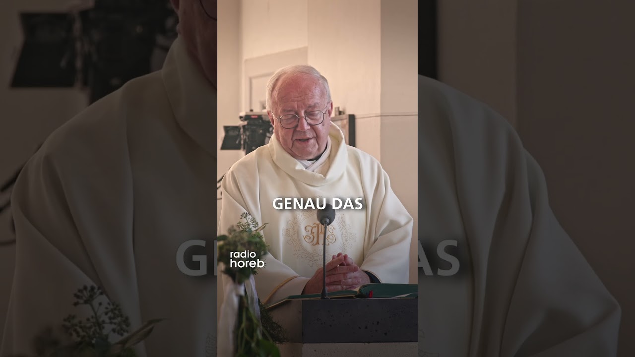 🌤️ „Licht oder Dunkelheit?“ – worauf setzt du?