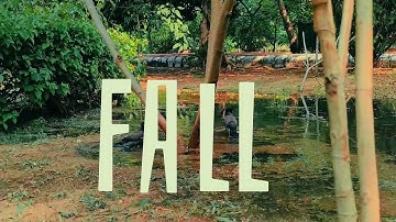 Aesthetic Cinematic Nature Visuals (Peaceful & Moody Vibes) | razzvier |