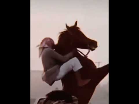 من لم يعانقه شوق الحياه خيال