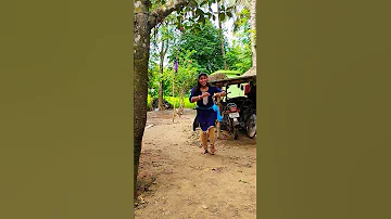 Han Meri Janam Pyar Kare Ham YouTube Short Viral Dance Video 