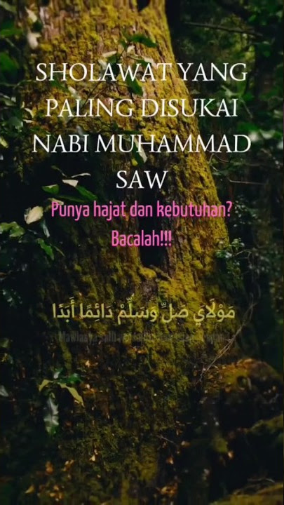 Sholawat yang disukai Nabi Muhammad SAW #shorts #sholawat