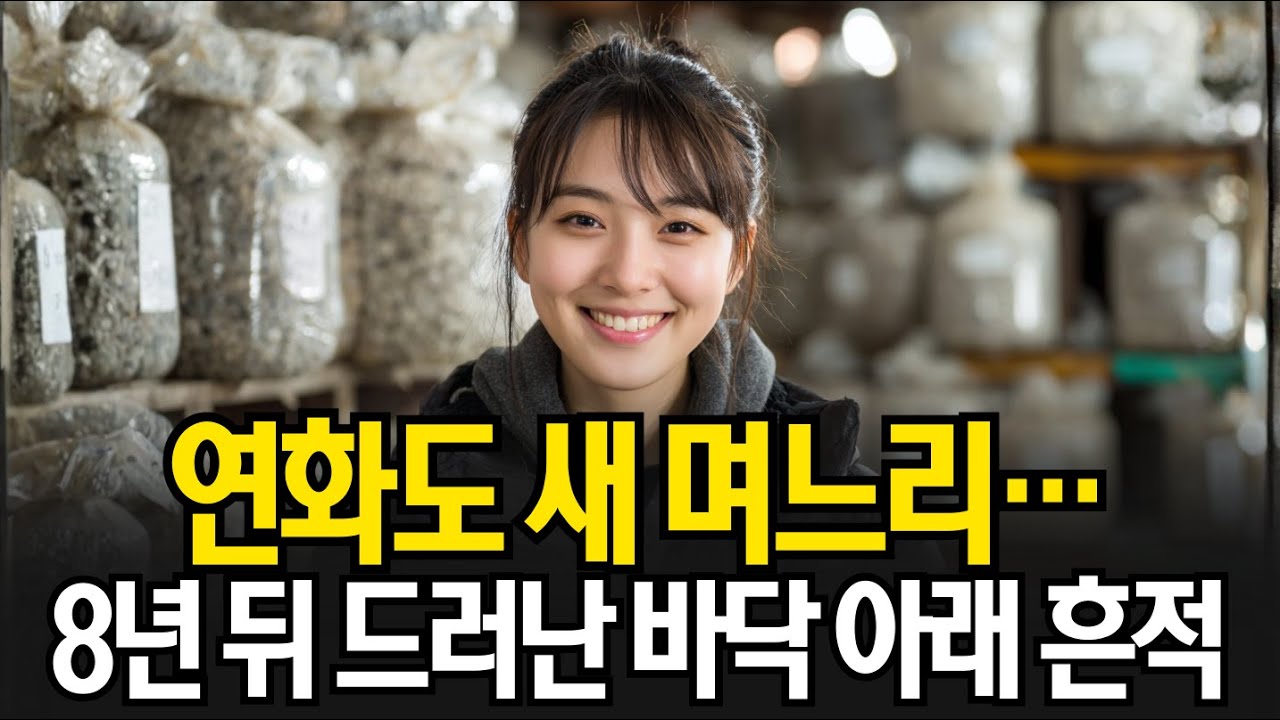 1990년 전남 신안 연화도 새 며느리 실종… 8년 뒤 항아리 창고 바닥 아래에서 드러난 정황