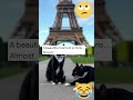Susan Finally Saw the Eiffel Tower...