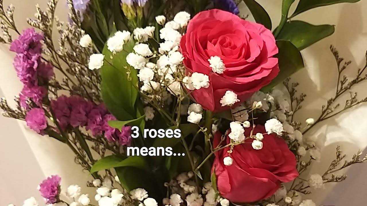 MEANING OF THREE ROSES #SHORTS - YouTube