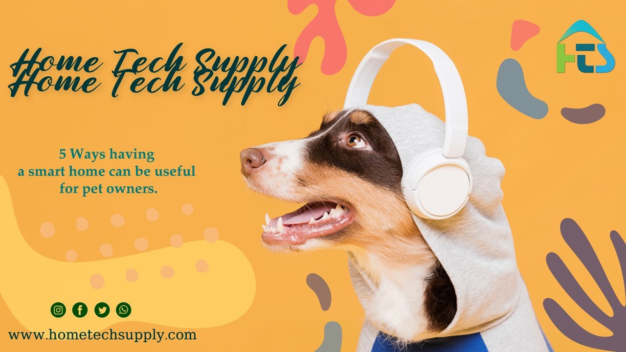 5 Ways having a smart home can be useful for pet owners | Smart Home ... - Home Automation For Pet Owners Apartment