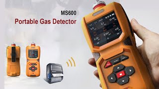 MS600 Handheld multi-gas detector pumping suction sampling method