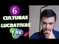 6 CULTURAS LUCRATIVAS  para pequenas áreas