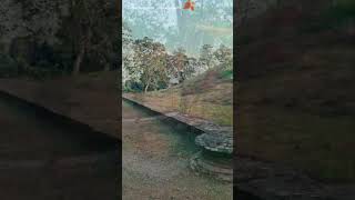 Charaideo Moidam// #love #travel #song #history #assam #unesco