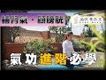 靜功-一│補腎氣排毒冥想│腎膀胱經養護氣功│氣功進階【微笑氧氣堂】