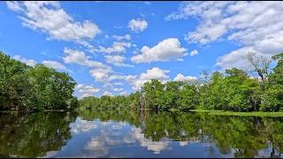St. Johns River Boat Cruise in 4K 🚤☀️