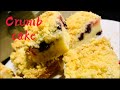 Secret of moist soft crumb cake|no fail baking| #how to bake crumb cake #easyrecipe #baking #vlog