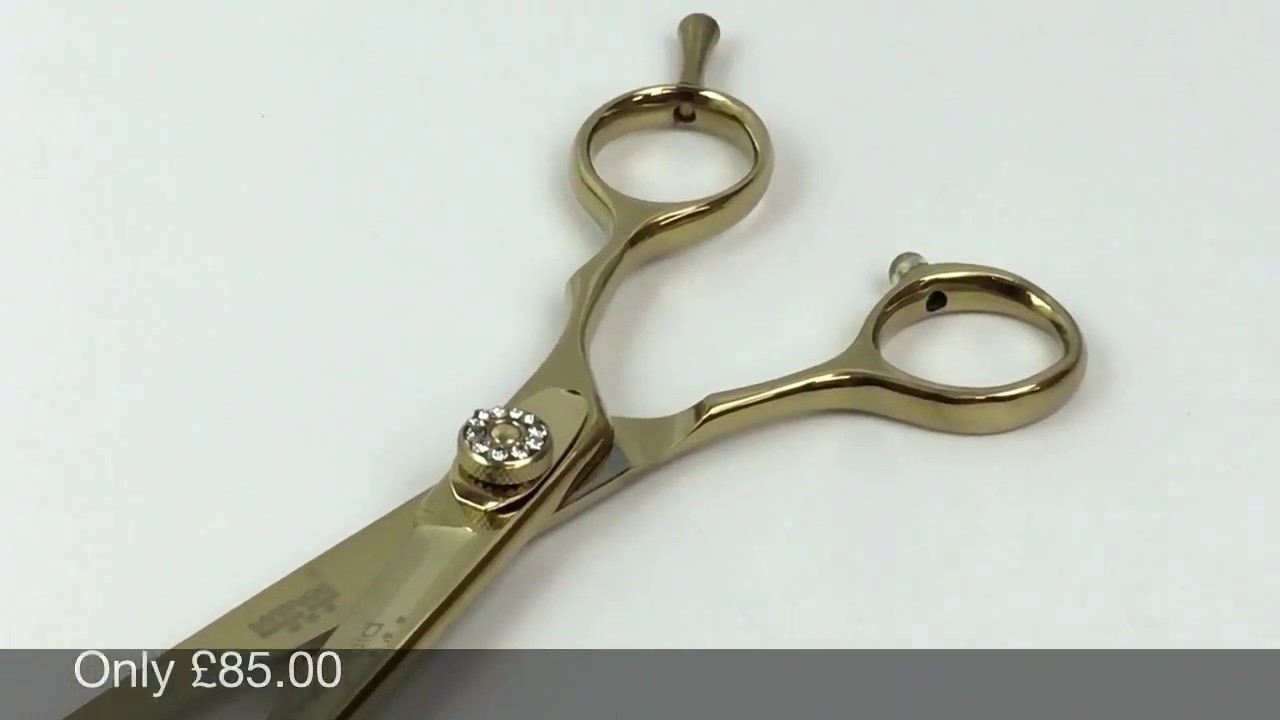 The Gold hairdressing apprenticeships