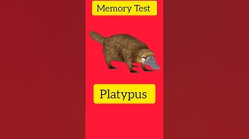 Brain memory test 99% failed 😜 #braintest #memorytest #memorytestgame #memorychallenge #memorygame