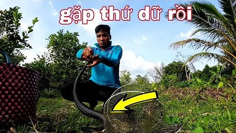 Không ngờ đặt lờ cá lại dính thứ này,,vũ heo